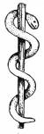 Staff of Asclepius